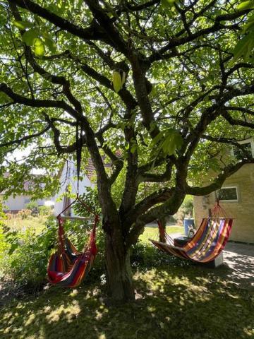 Sommerhaus Boldevitz Auf Ruegen Buitenkant foto