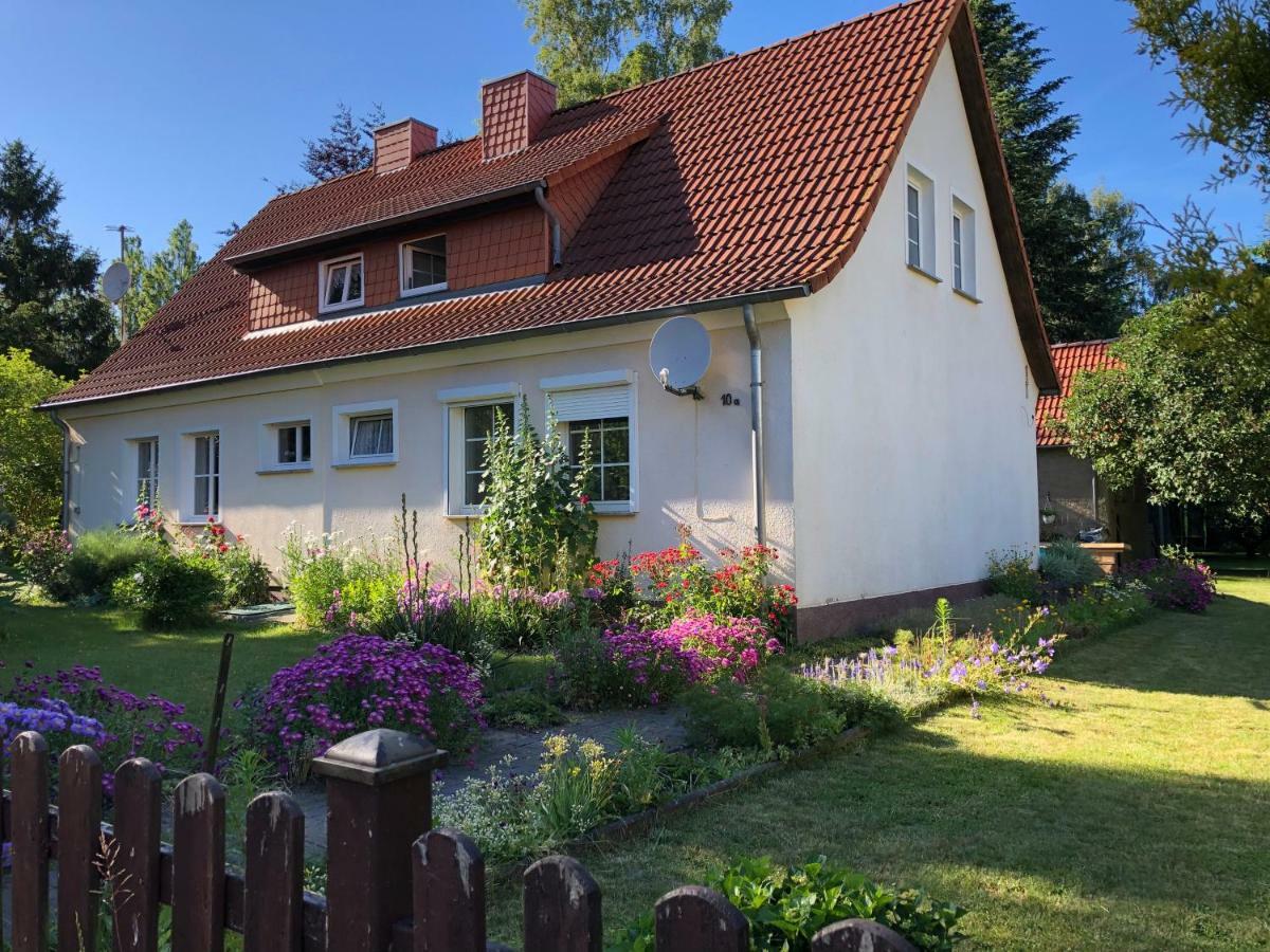Sommerhaus Boldevitz Auf Ruegen Buitenkant foto